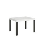 Table extensible effet bois frêne blanc 80x120 / 204 cm Table extensible effet bois frêne blanc 80x120 / 204 cm