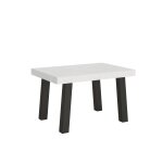 Table extensible effet bois frêne blanc 90x140 / 400 cm Table extensible effet bois frêne blanc 90x140 / 400 cm