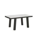 Table extensible effet bois frêne blanc 90x160 / 420 cm Table extensible effet bois frêne blanc 90x160 / 420 cm
