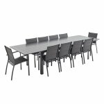 Table de jardin extensible aluminium gris 10 places
