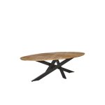 Table de jardin ovale en teck et m�tal noir l220 10 places