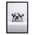 Tableau avec cadre noir 40x30 bouledogue dans la baignoire