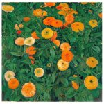 Tableau impression sur toile - marigolds - koloman moser 60x60cm Tableau impression sur toile - marigolds - koloman moser 60x60cm