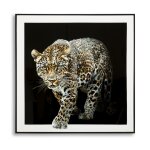 Tableau jaguar sur toile laque avec cadre 82x4x82 cm