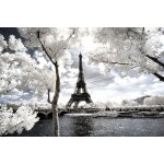 Tableau paris tour eiffel blanche imprim� sur toile 90x60 cm