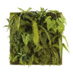 Tableau vgtal plantes artificielles 100x100