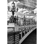 Tableau paris vue du pont alexandre iii imprim� sur toile 60x90 cm