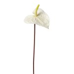 Tige d'anthurium artificielle blanche h67 Tige d'anthurium artificielle blanche h67