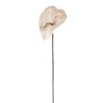 Tige d'anthurium artificielle gris et marron Tige d'anthurium artificielle gris et marron