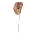 Tige d'anthurium artificielle marron foncé h76 Tige d'anthurium artificielle marron foncé h76