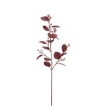 Tige d'eucalyptus et graines artificielles bordeaux h60