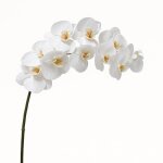 Tige d'orchid�e artificielle blanche h100