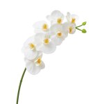 Tige d'orchid�e artificielle blanche h72