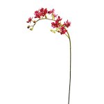 Tige d'orchide artificielle fuchsia h57