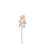 Tige d'orchide artificielle rose h50