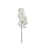 Tige d'orchide bandailan artificielle blanche h66