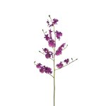 Tige d'orchide oncidium artificielle violette h94