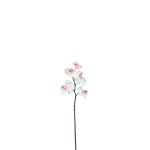 Tige d'orchide phalaenopsis artificielle blanche h45