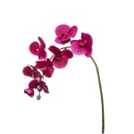 Tige d'orchide phalaenopsis artificielle fuchsia h82