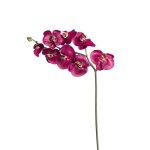 Tige d'orchide phalaenopsis artificielle fuchsia h87