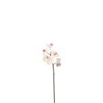 Tige d'orchide phalaenopsis artificielle rose et blanche h45