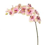 Tige d'orchide phalaenopsis artificielle rose h104