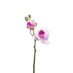 Tige d'orchide phalaenopsis artificielle rose h21