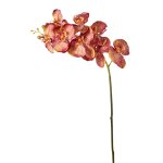 Tige d'orchide phalaenopsis artificielle rouge h100