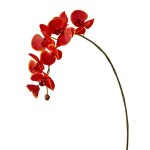 Tige d'orchide phalaenopsis artificielle rouge h82