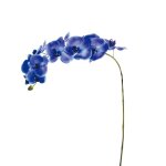 Tige d'orchide phalaenopsis bleue h100