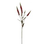 Tige de vronique artificielle rouge h89