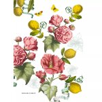 Torchon lav mtis lin & coton multicolore 50x70 cm