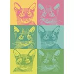 Torchon pur coton multicolore 56x77 cm