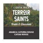 Caf costa rica tarrazu terroir saints rgion de san ignacio de acosta