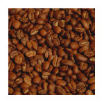 Caf� equateur las tolas estate - caturra pacas