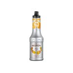 Le fruit mangue 50 cl