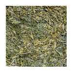 Th vert du japon sencha de lumire natural leaf