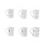 Tisanire porcelaine herboristerie 25cl