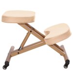 Chaise posturale  roulettes