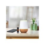 Diffuseur d'huiles essentielles musilia