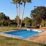 Filet anti - feuilles piscine 500 x 500