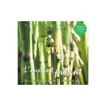 Cd instant pr�sent