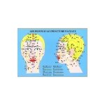 Planche plastifiée les points d'acupuncture faciaux (a4) Planche plastifiée les points d'acupuncture faciaux (a4)