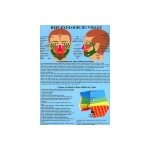 Planche plastifi�e r�flexologie du visage (a4)