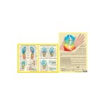 Planche plastifie les zones rflexes de la main et du pied (a4)