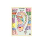 Poster plastifi auriculo terapia (a2)