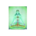 Poster plastifi chakras et lments - johari (a3)