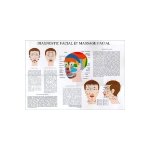 Poster plastifi diagnostic et massage facial (a2)