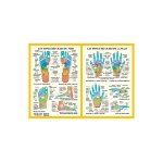 Poster plastifi les zones rflexes de la main et du pied (a2)