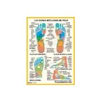 Poster plastifi les zones rflexes des pieds (a2)